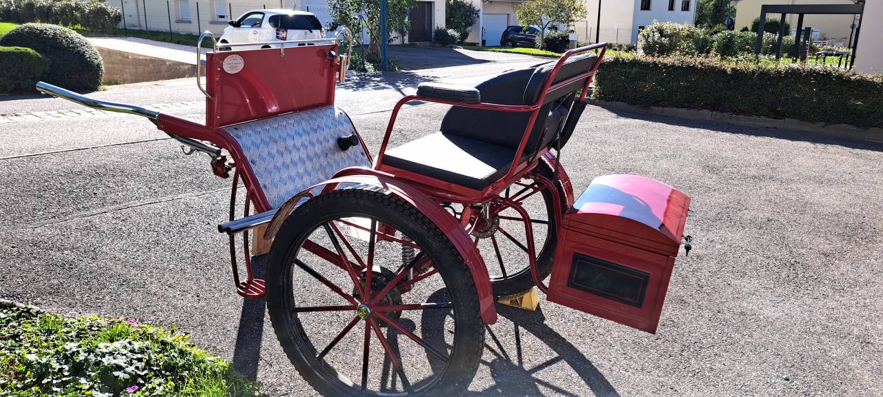 Carriage - Gig - Other brand - Gig d'attelage 