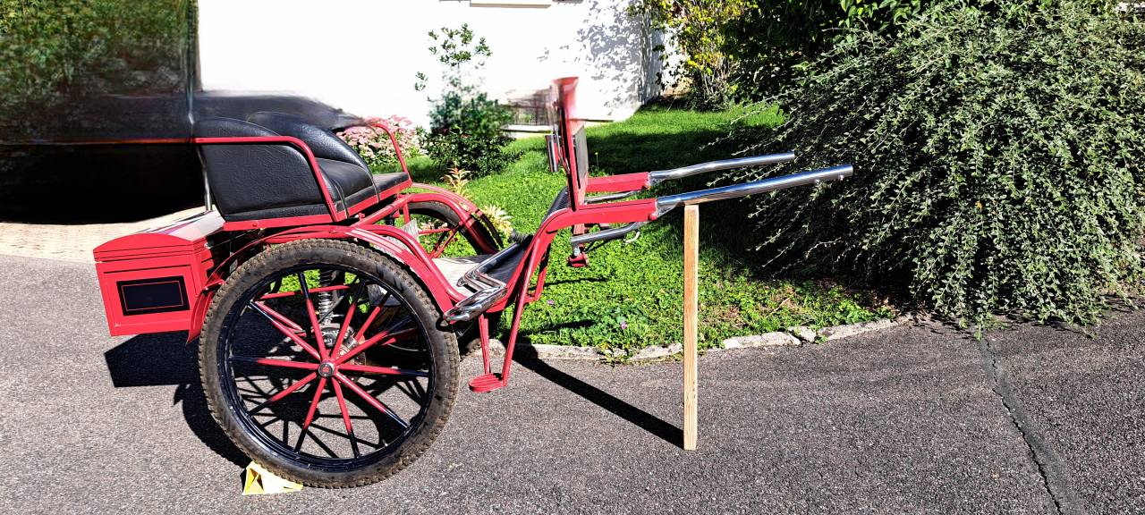 Carriage - Gig - Other brand - Gig d'attelage 