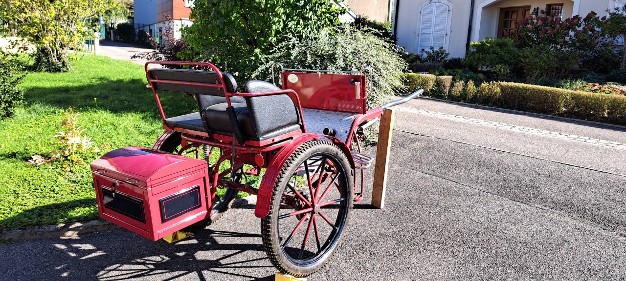 Carriage - Gig - Other brand - Gig d'attelage 