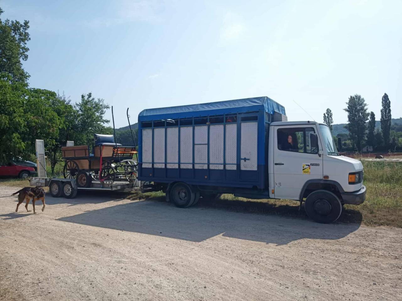 Horsebox NON-HGV Mercedes Mercedes 711D 1989 Used