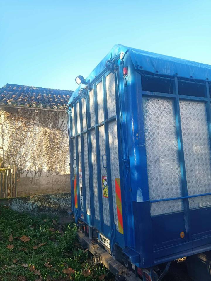 Horsebox NON-HGV Mercedes Mercedes 711D 1989 Used