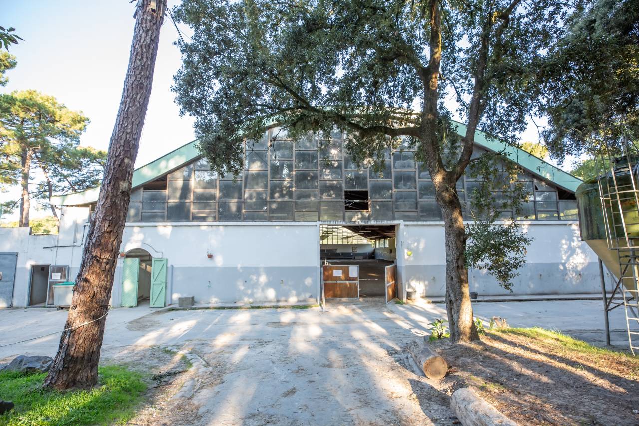 Riding school  Charente-Maritime