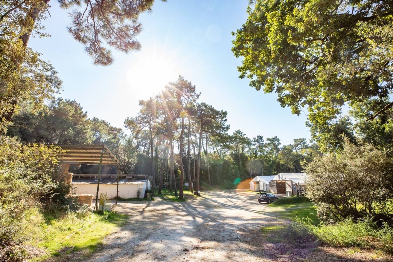 Riding school  Charente-Maritime