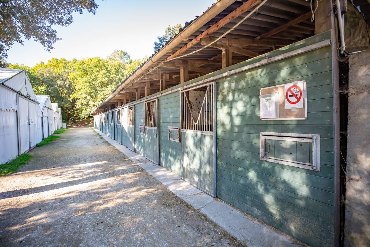 Riding school  Charente-Maritime