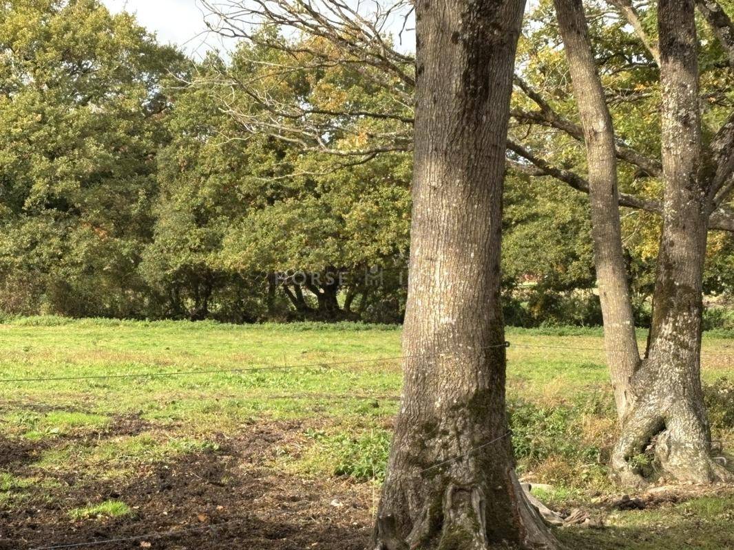 Stud farm  Loire-Atlantique