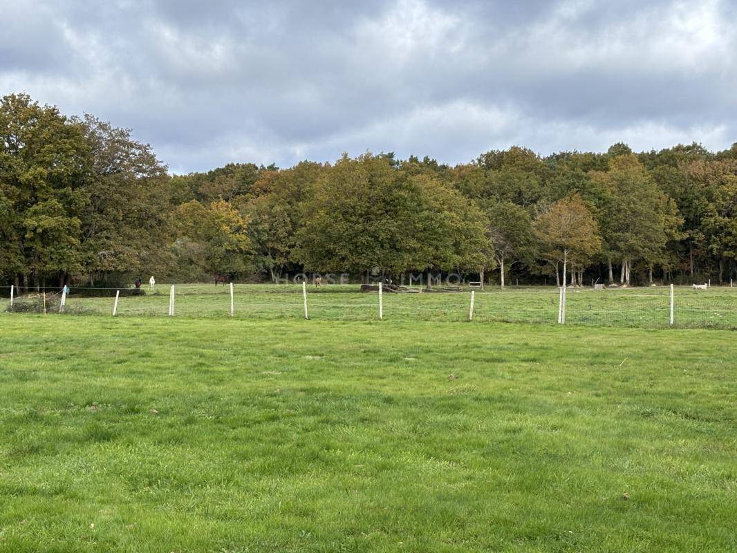 Stud farm  Loire-Atlantique