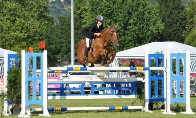 Gelding Selle Français For sale 2021 Chesnut