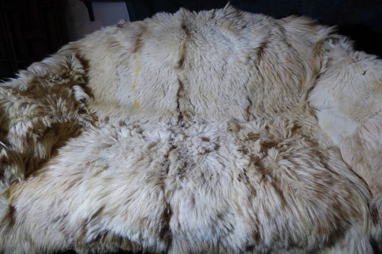 Carriage - Other carriage   