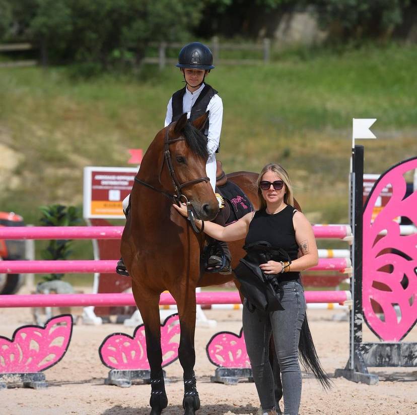 Mare BWP Belgian Warmblood For sale 2017 Bay