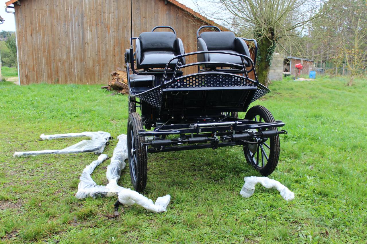 Carriage - Marathon for leisure - Other brand - MARATHON TRAINING TR5 25331 