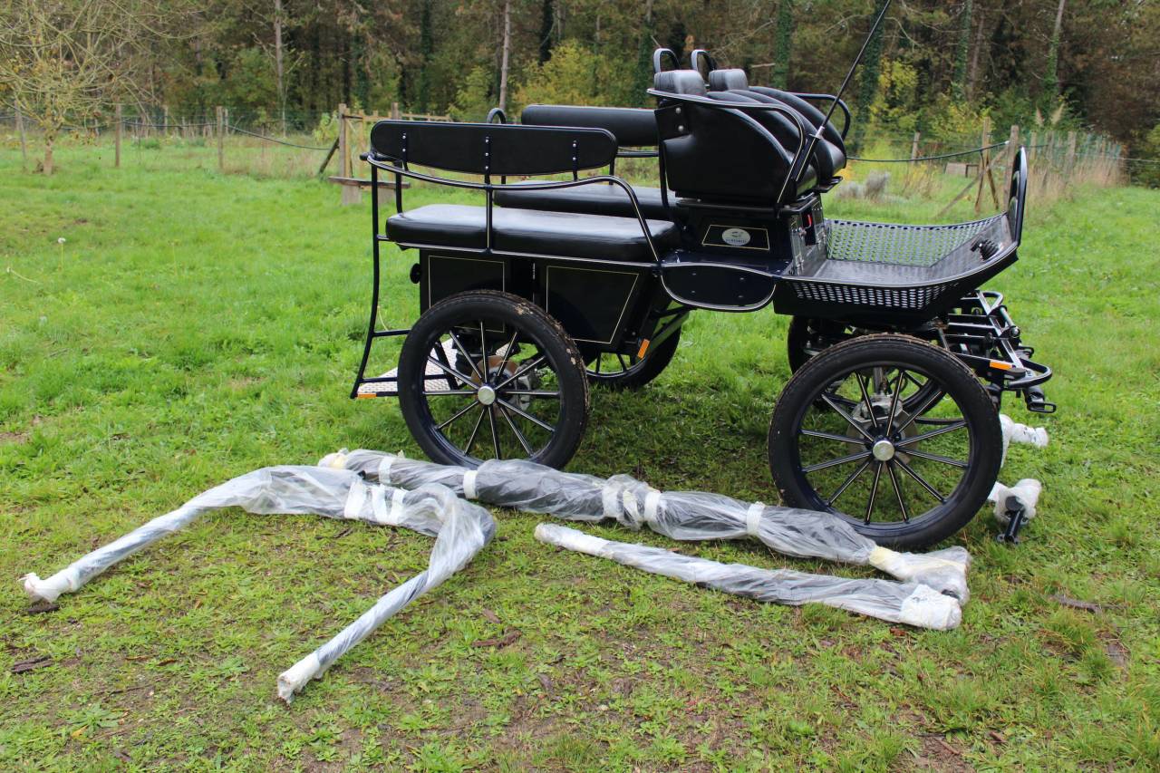 Carriage - Marathon for leisure - Other brand - MARATHON TRAINING TR5 25331 