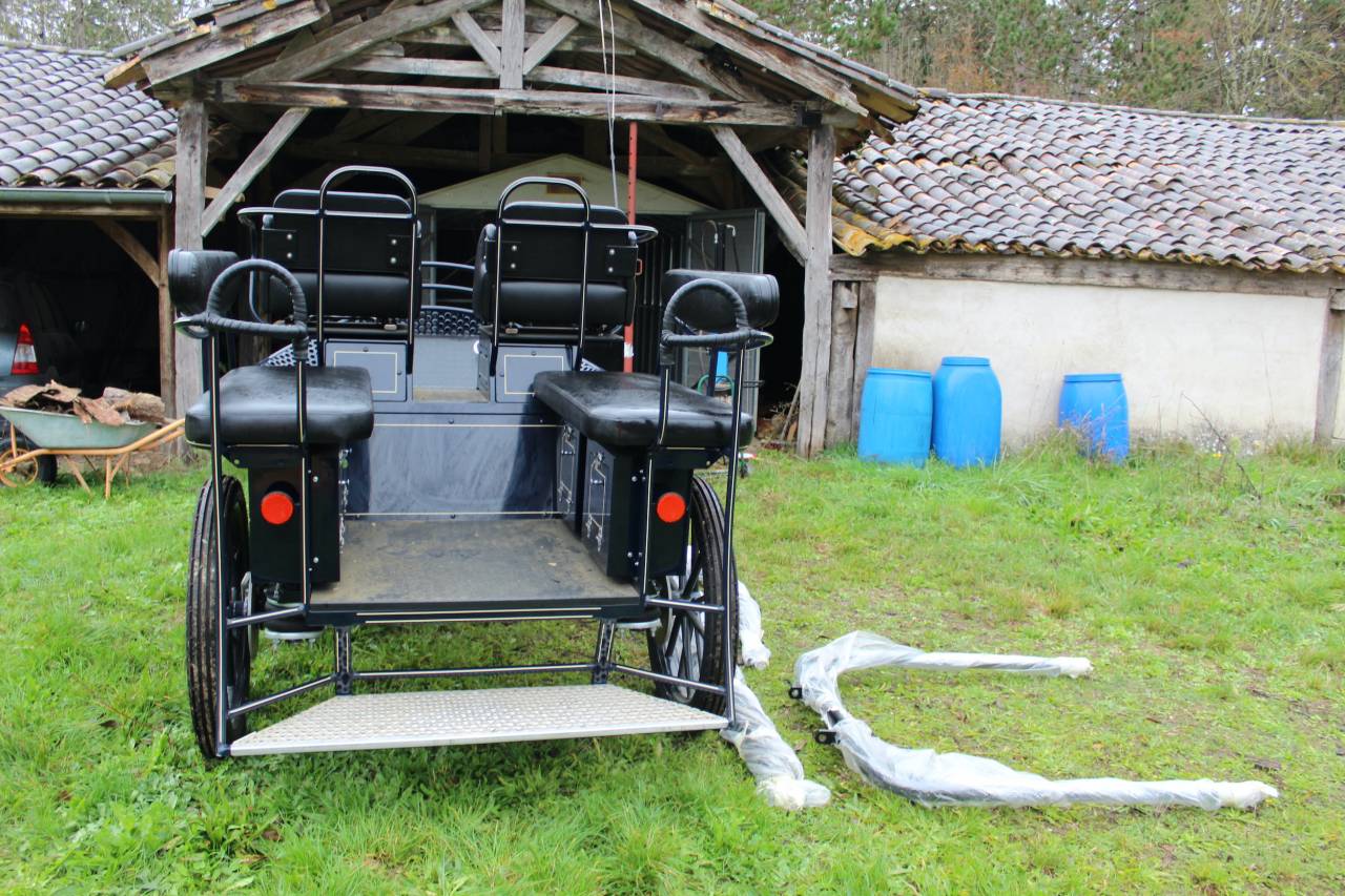 Carriage - Marathon for leisure - Other brand - MARATHON TRAINING TR5 25331 