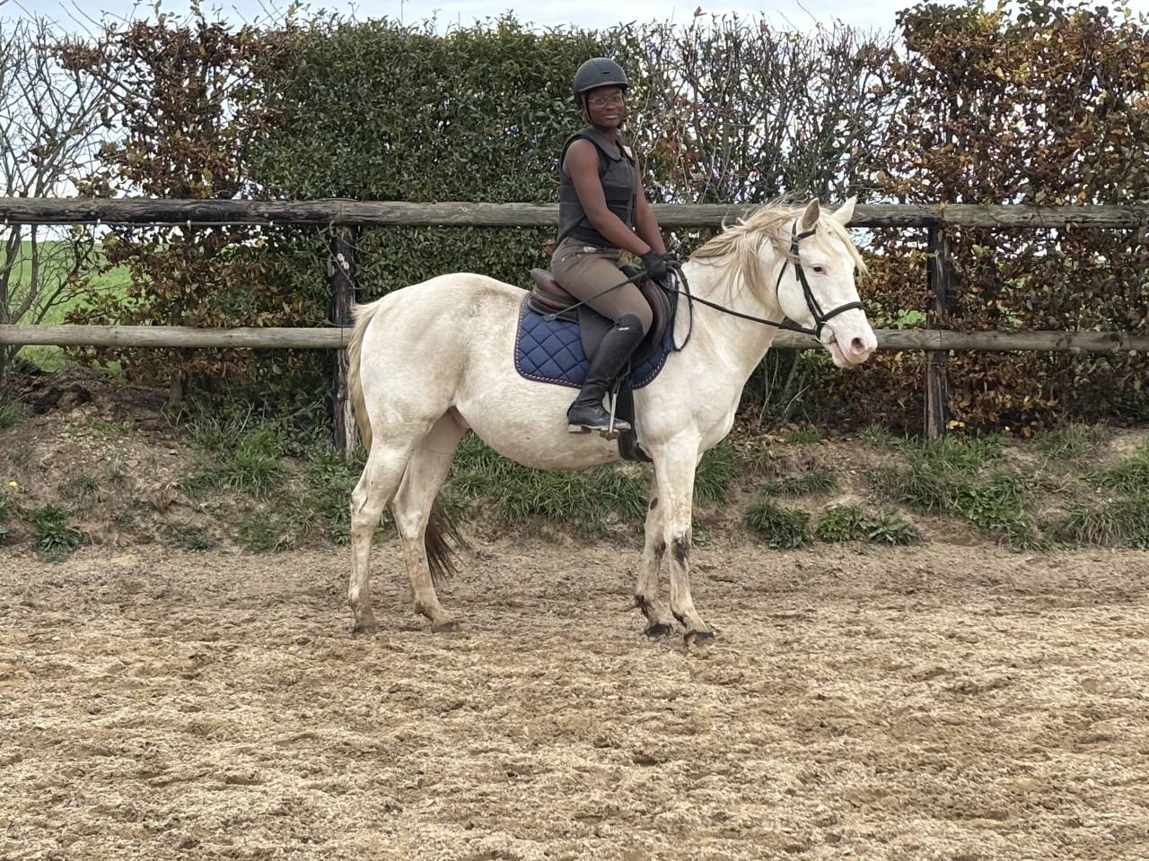Gelding Other Pony Breed For sale 2021 White