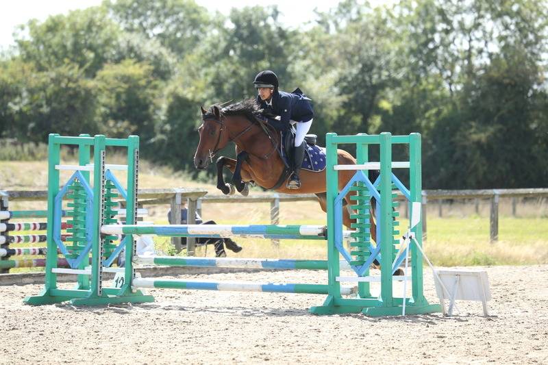 Fun talented dream pony 