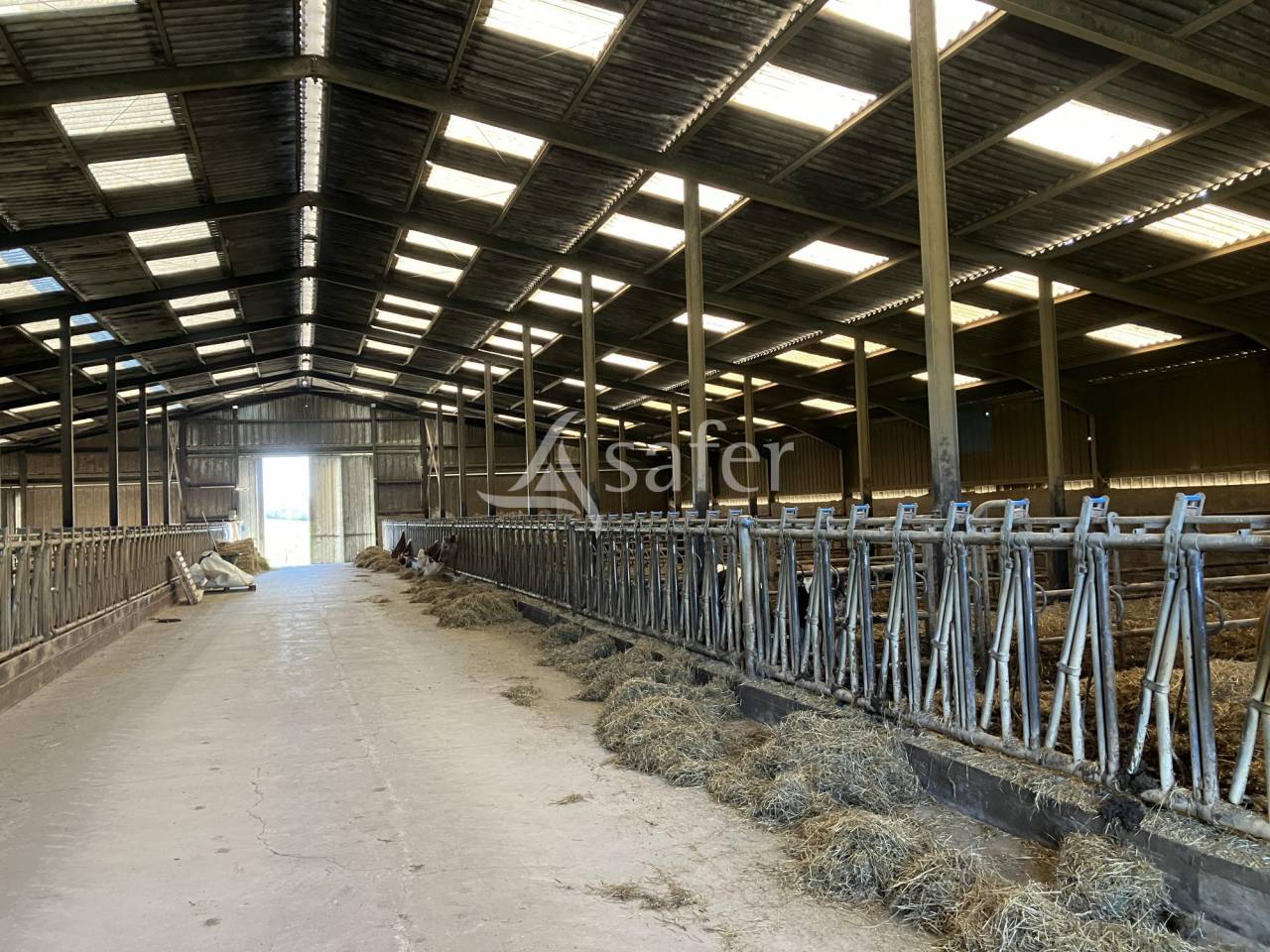 Dairy farm  Haute-Saône
