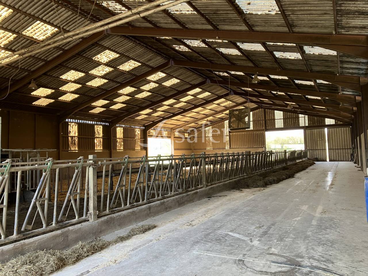 Dairy farm  Haute-Saône