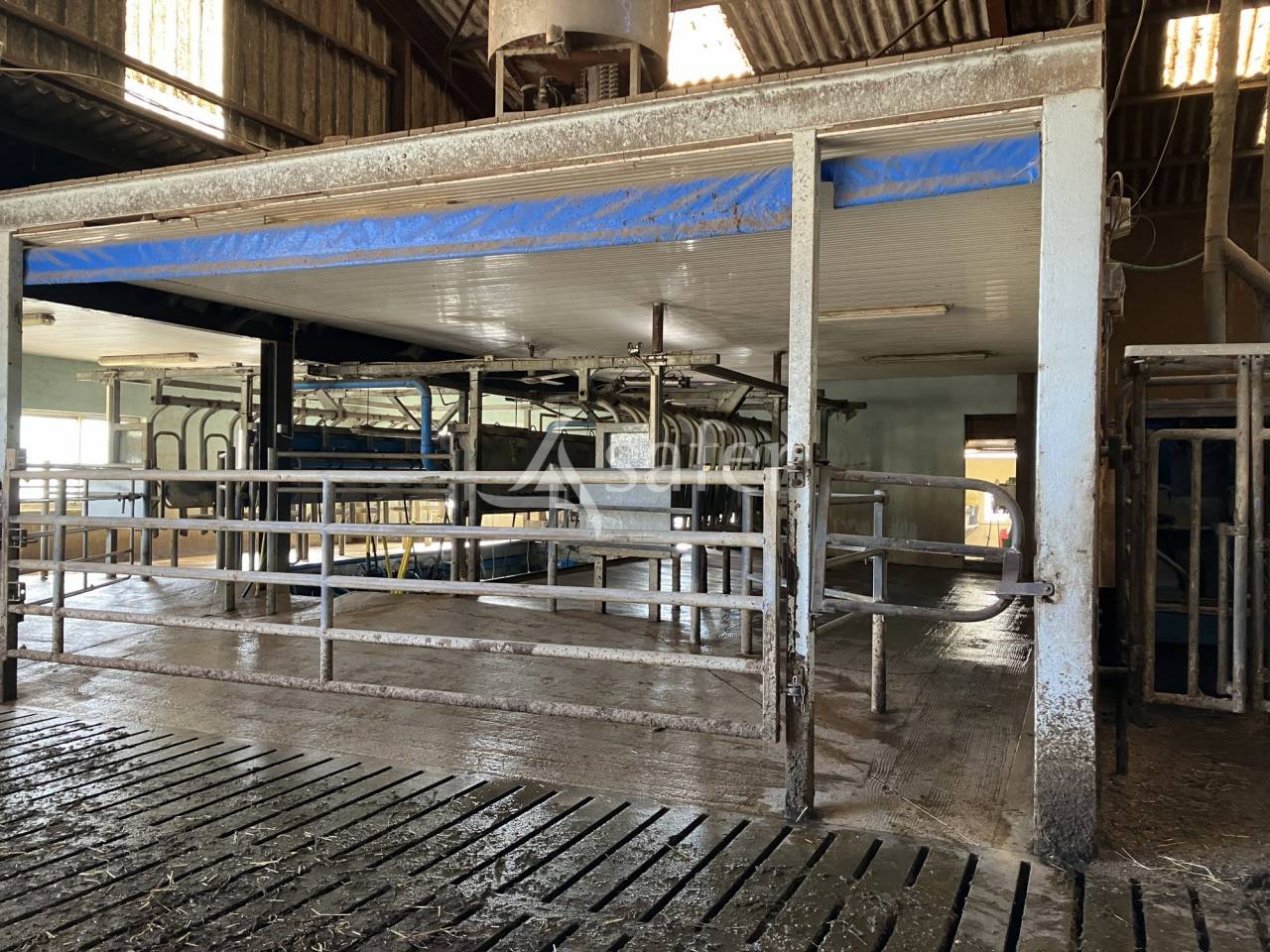 Dairy farm  Haute-Saône