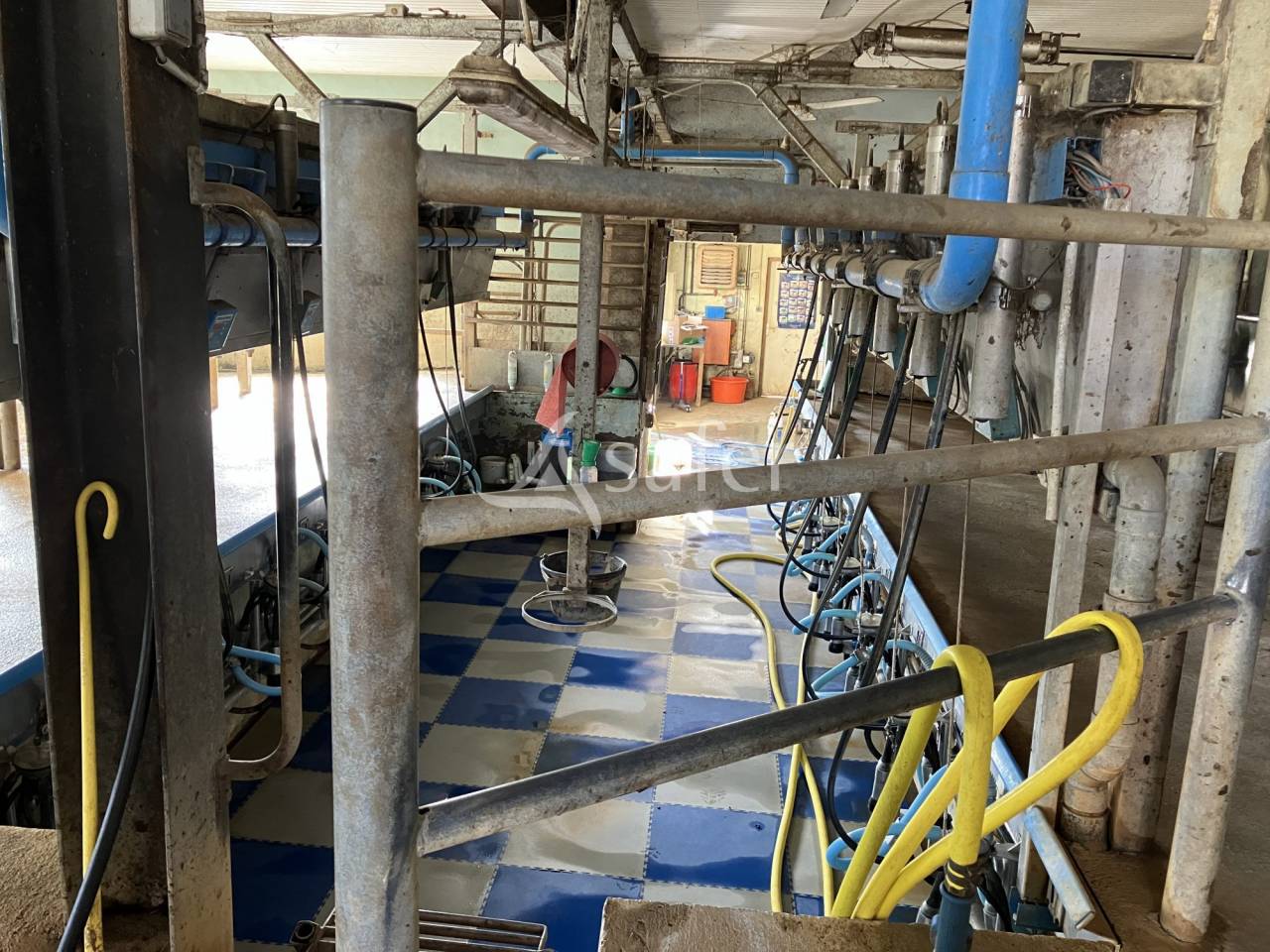 Dairy farm  Haute-Saône