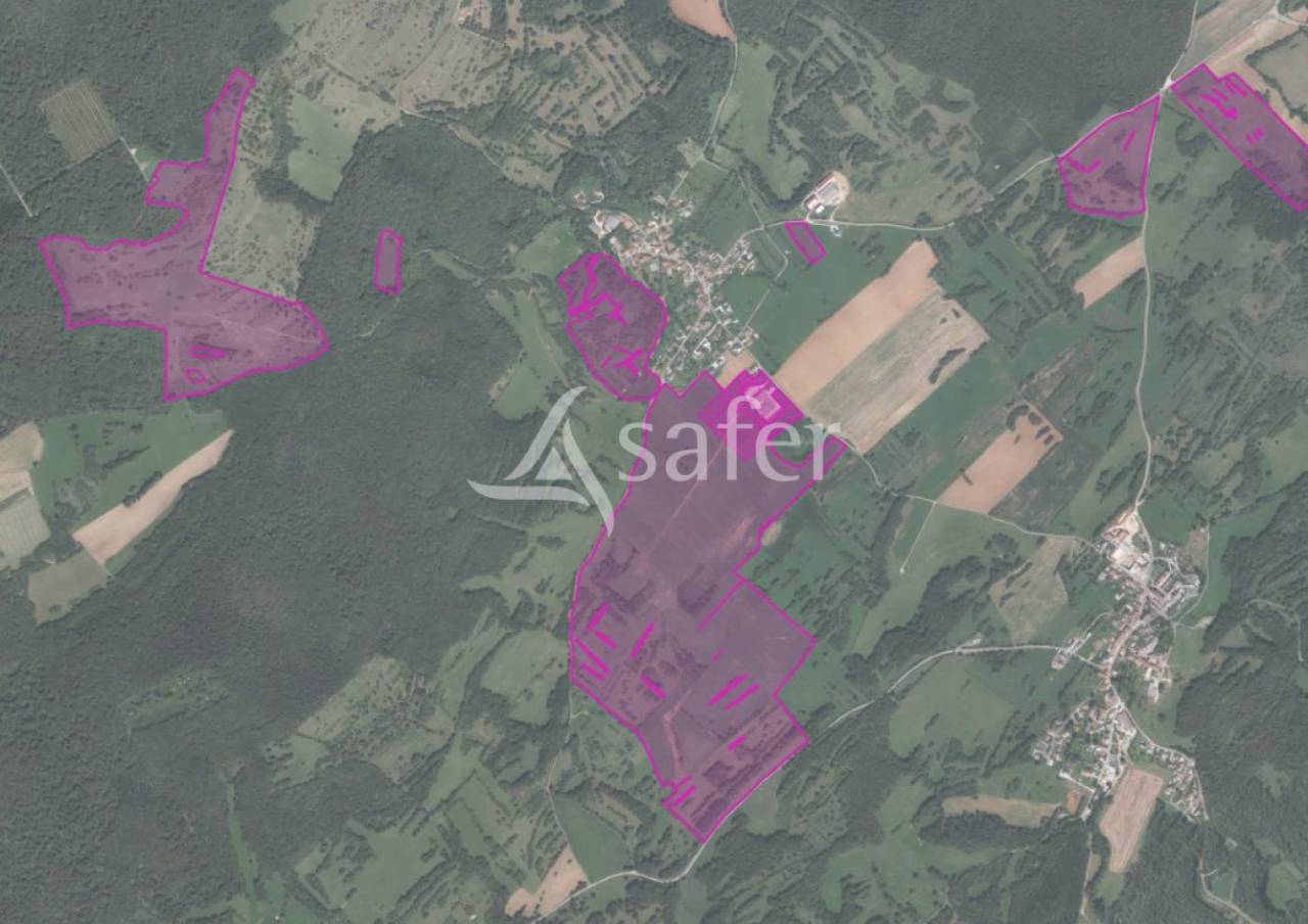 Dairy farm  Haute-Saône