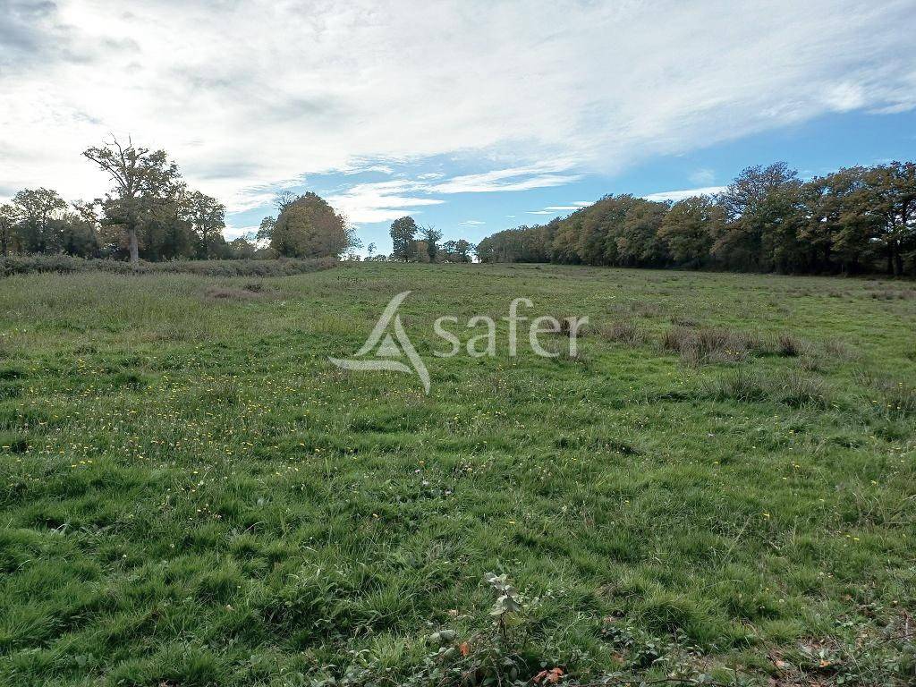 Other agricultural property  Haute-Vienne