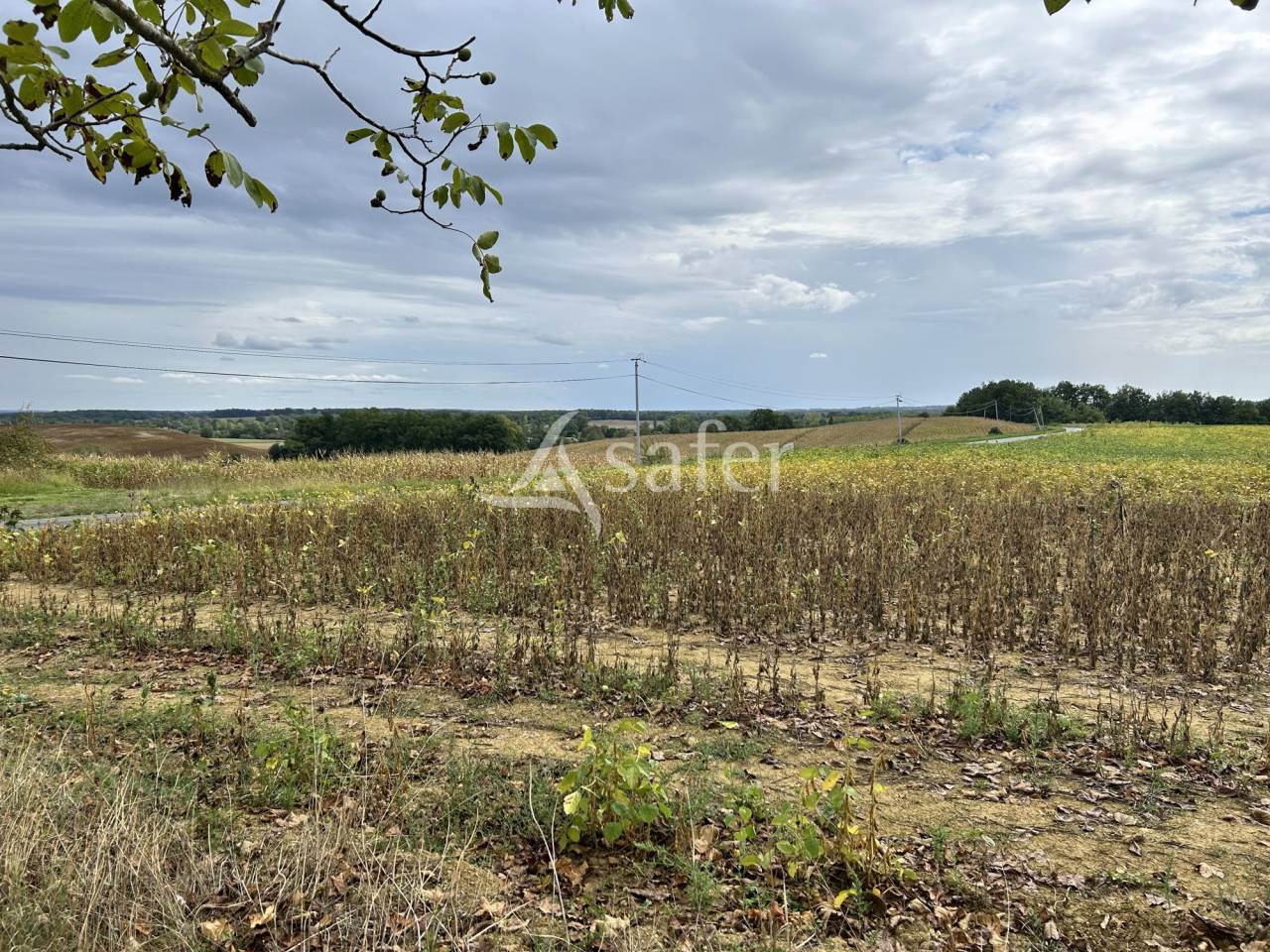 Other agricultural property  Lot-et-Garonne