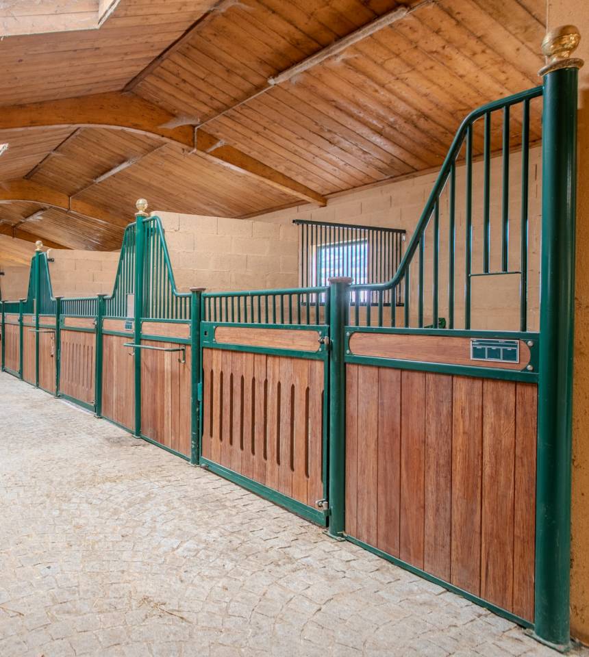 Luxurious equestrian property  Drôme