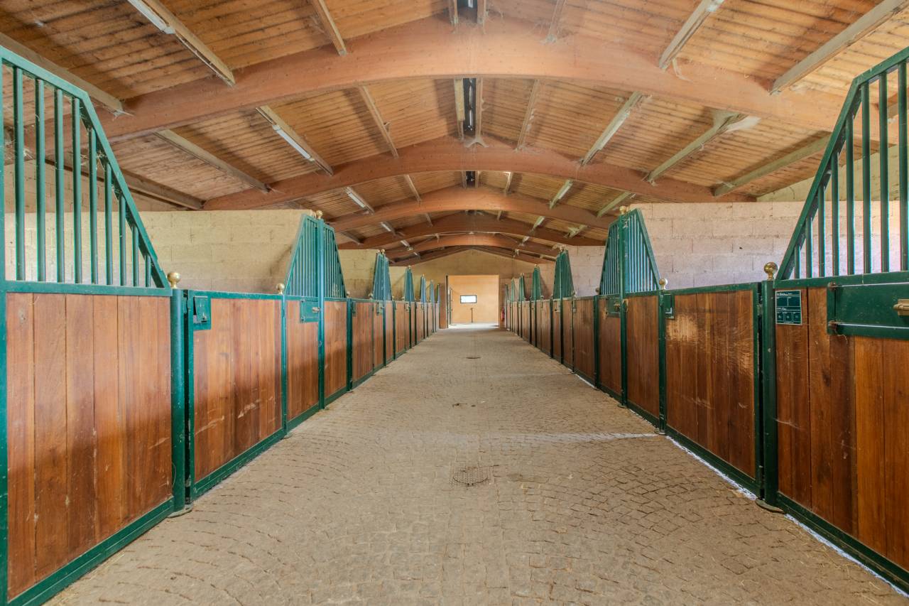 Luxurious equestrian property  Drôme
