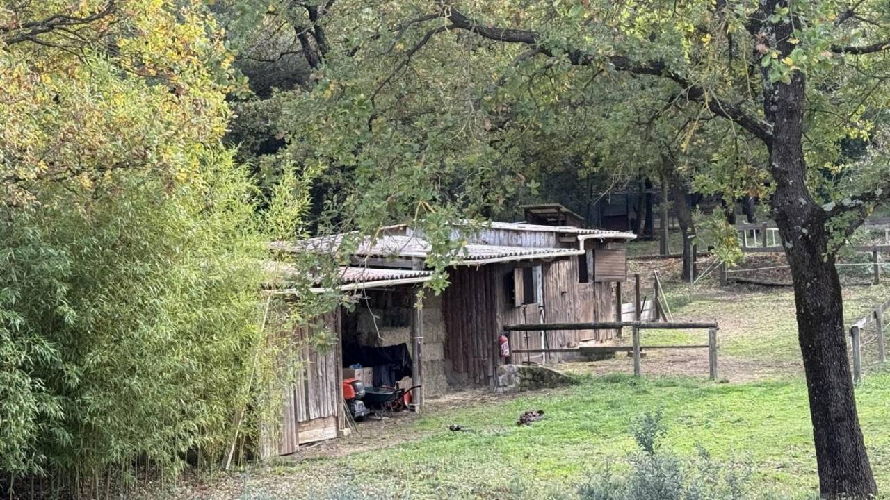 Equestrian property  Var