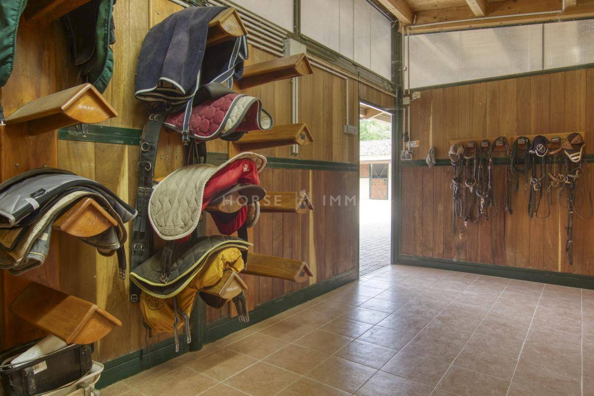 Stud farm  Alpes-Maritimes