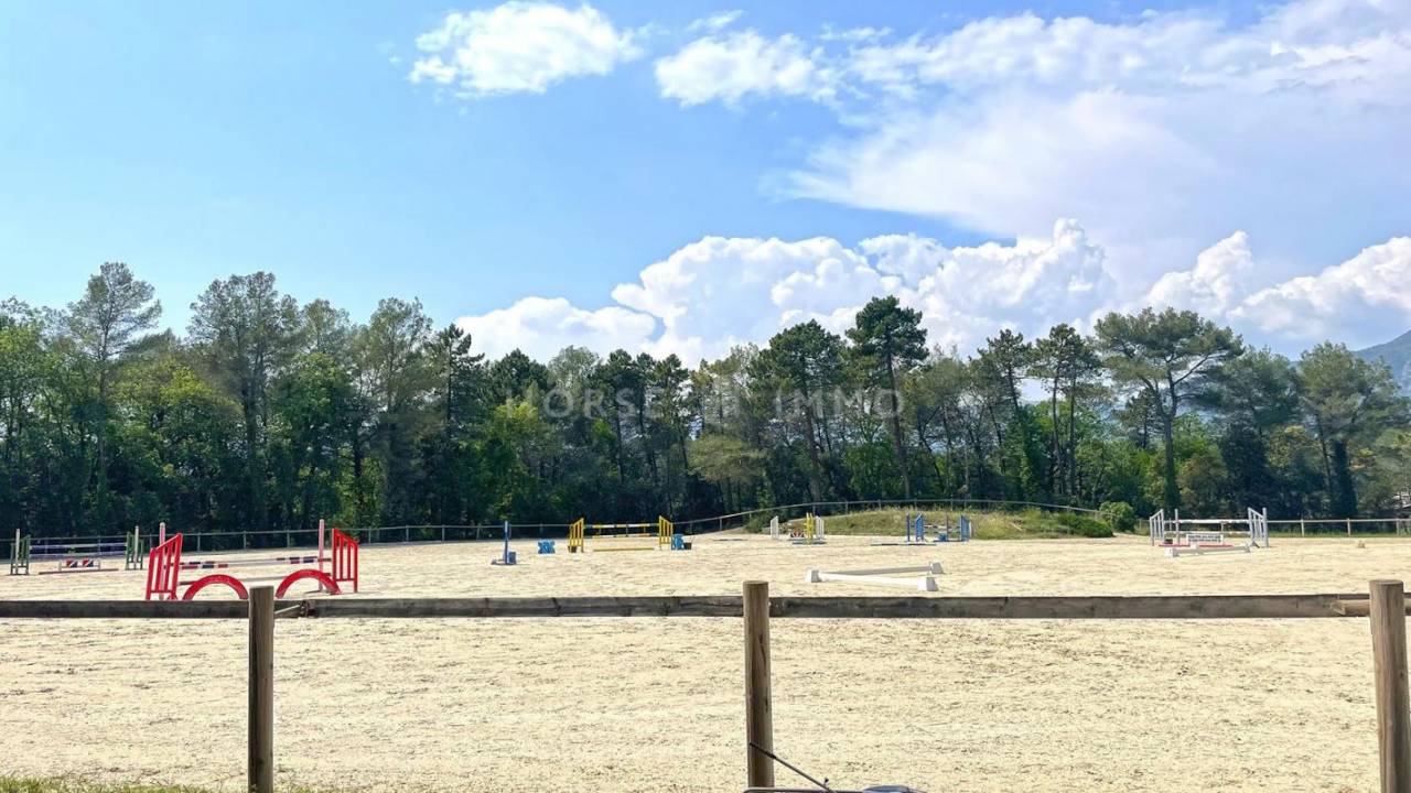 Stud farm  Alpes-Maritimes