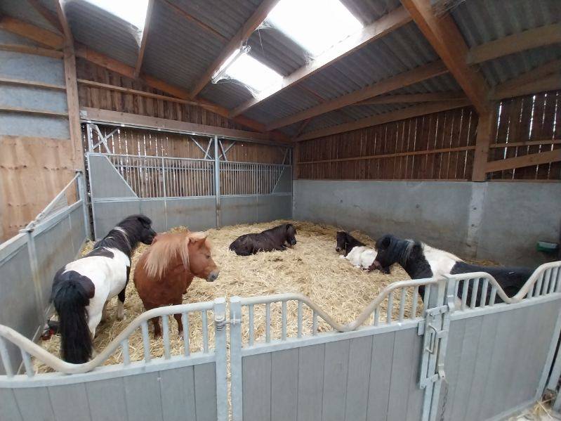 Livery yard  Deux-Sèvres