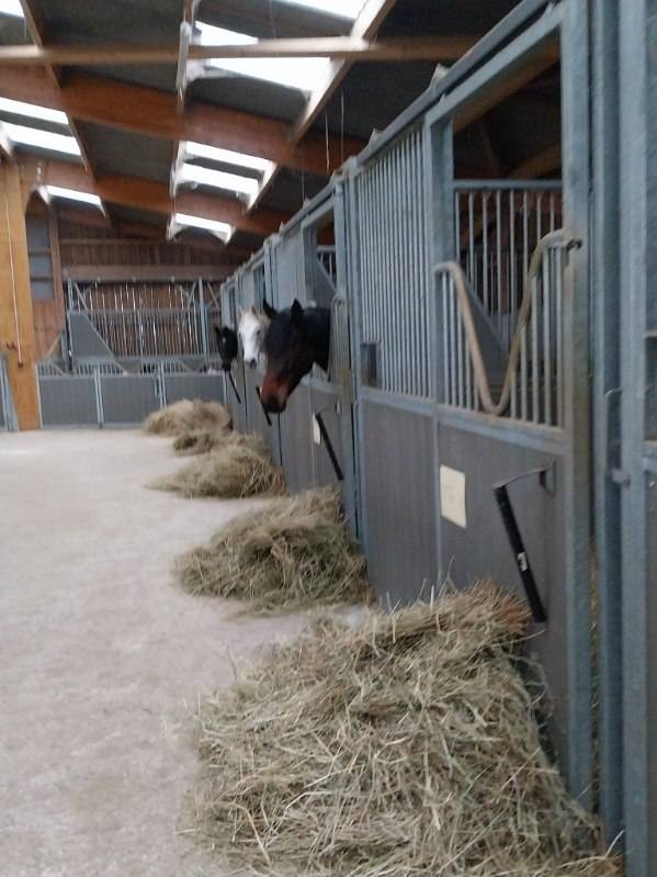 Livery yard  Deux-Sèvres