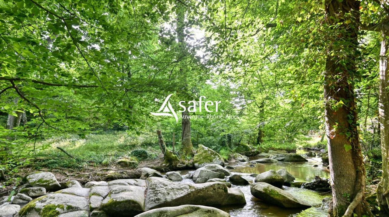 Other country property  Rh&ocirc;ne