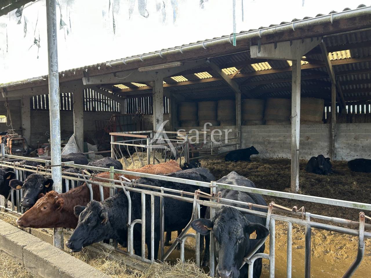 Other agricultural property  Lot-et-Garonne