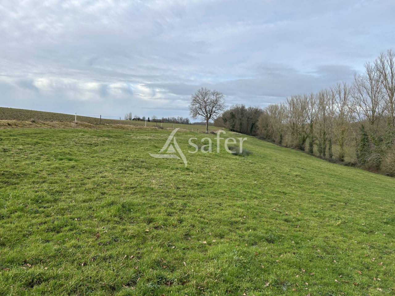 Other agricultural property  Lot-et-Garonne