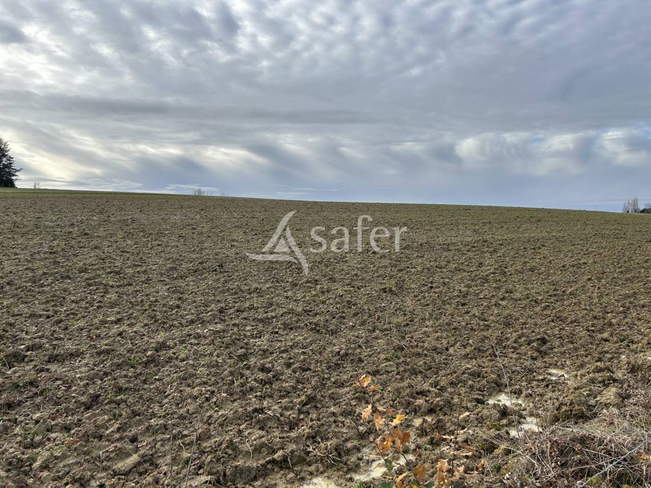 Other agricultural property  Lot-et-Garonne