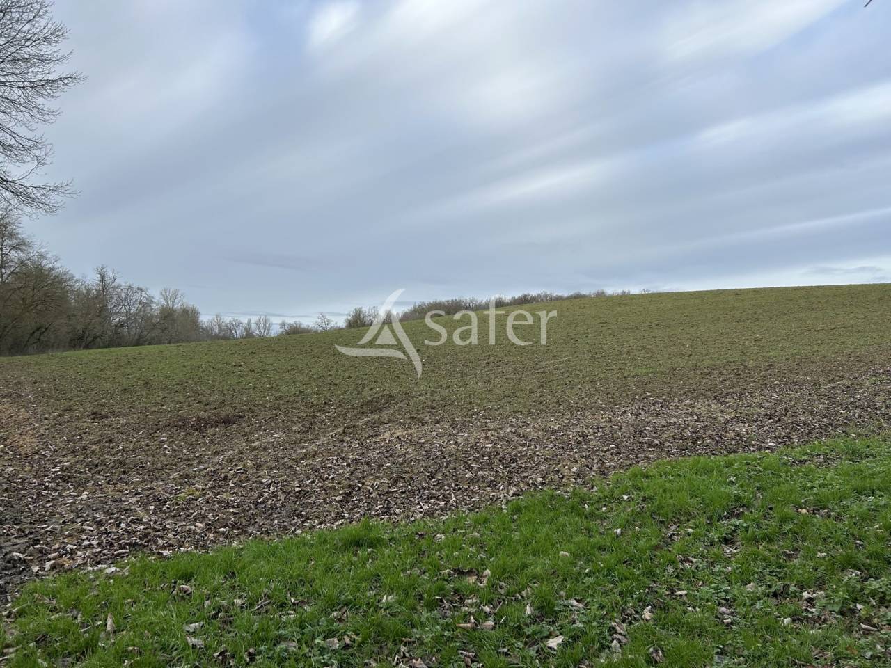 Other agricultural property  Lot-et-Garonne