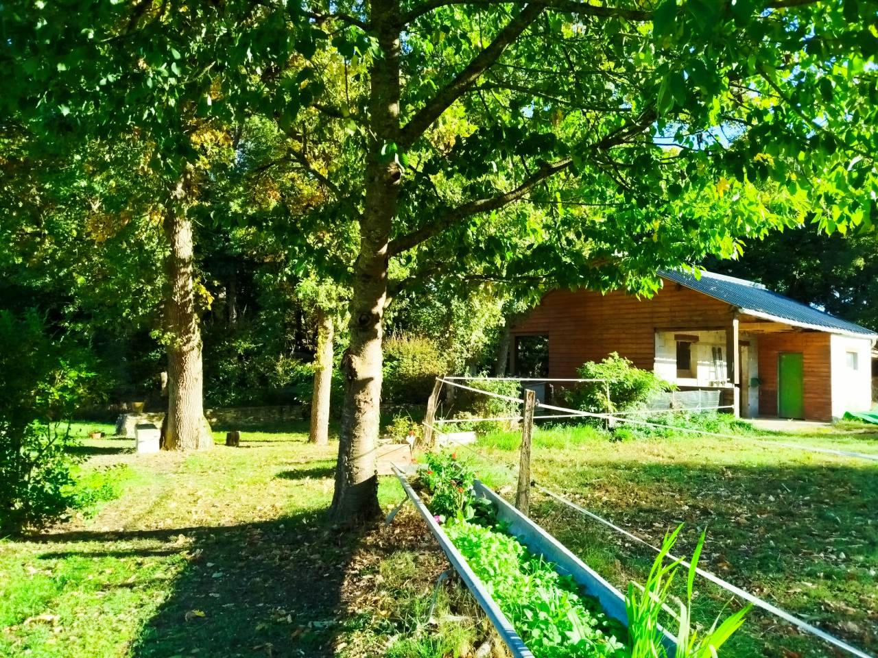 Luxurious equestrian property  Indre-et-Loire