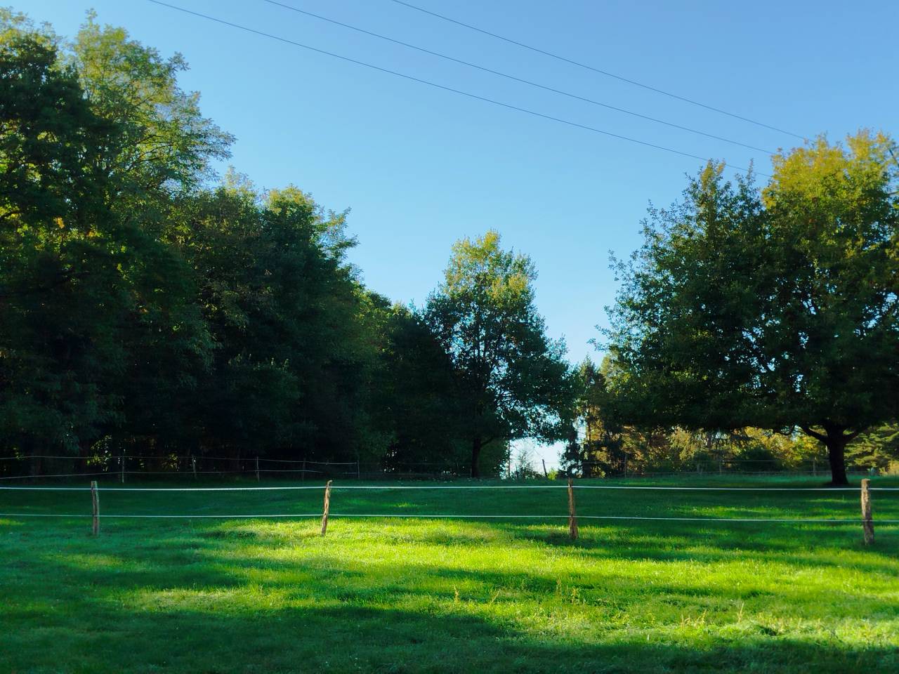 Luxurious equestrian property  Indre-et-Loire