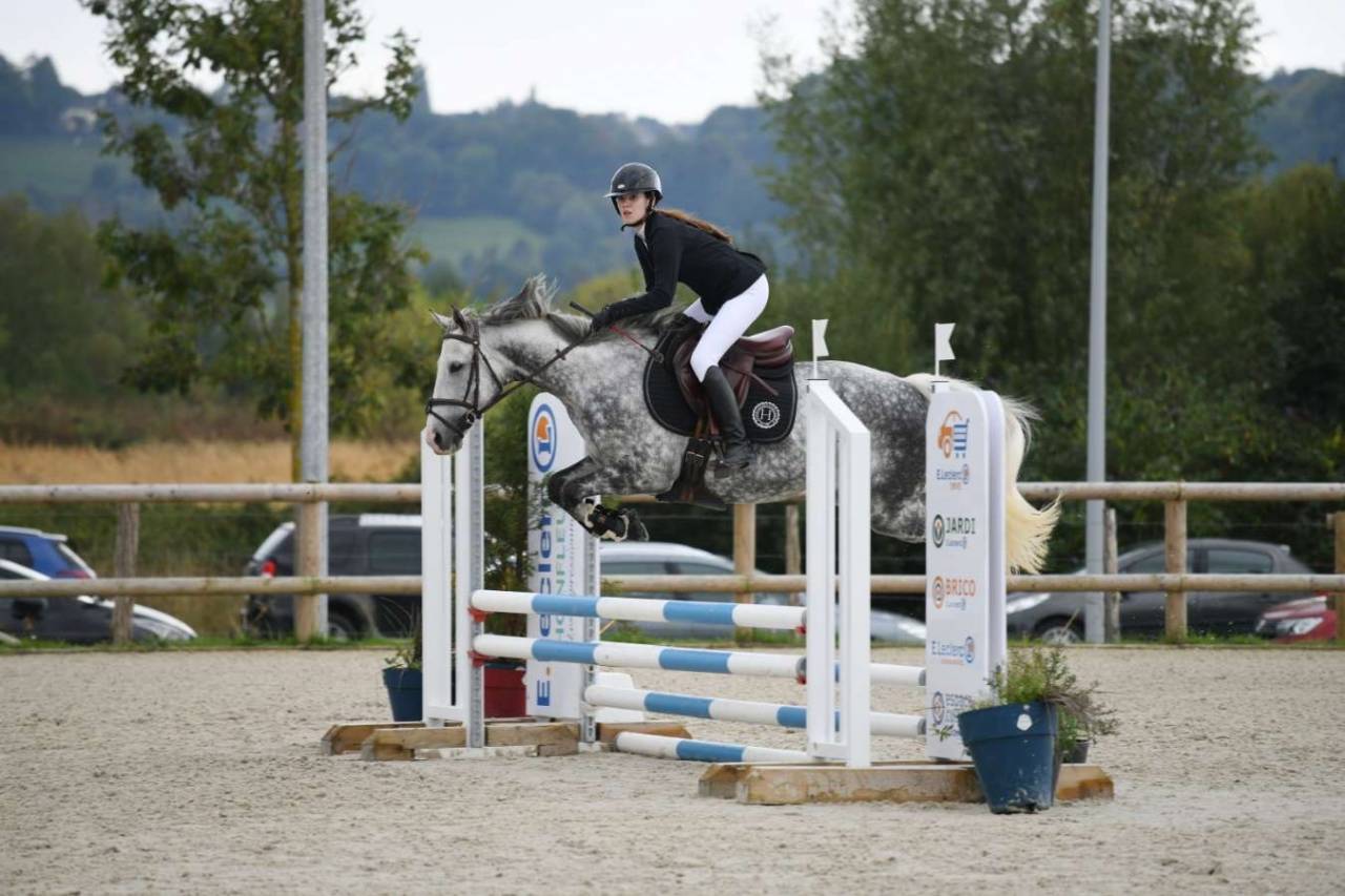 Mare Thoroughbred For sale 2012 Grey