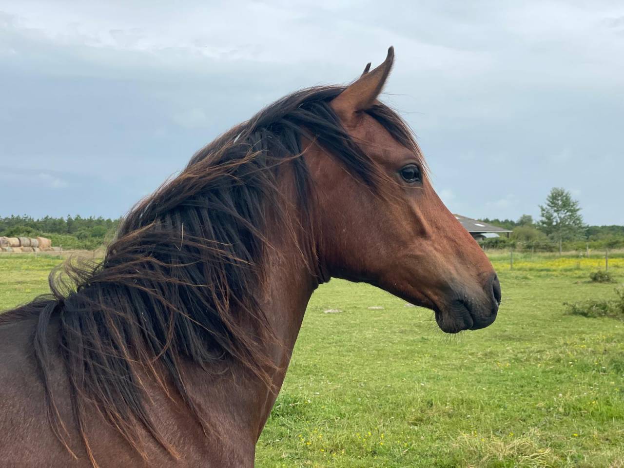 Entire Origin Recorded For sale 2024 Bay