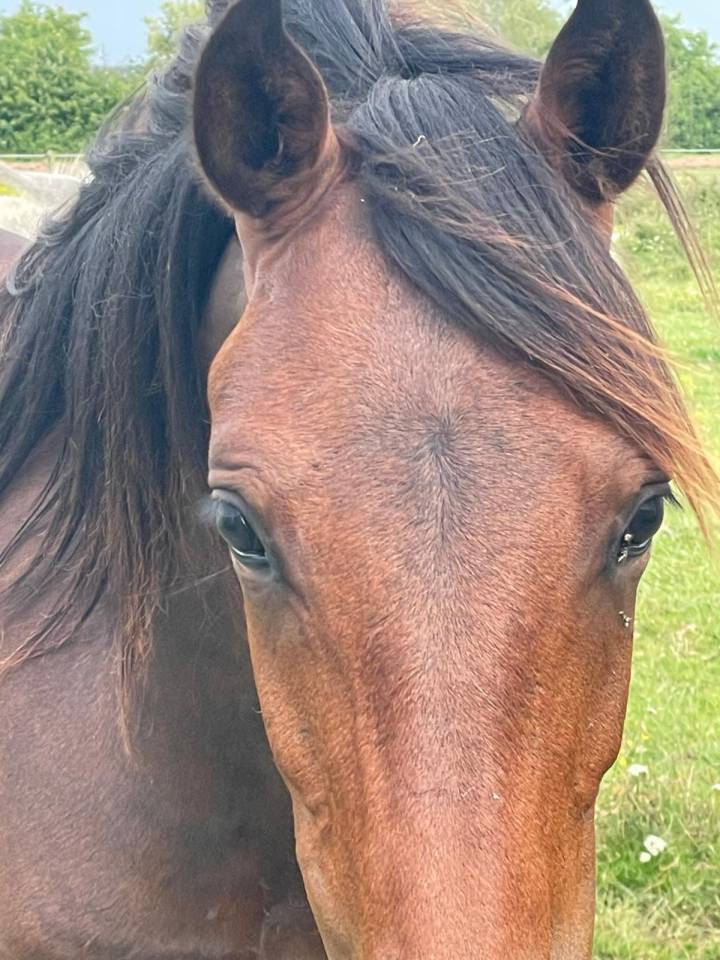 Entire Origin Recorded For sale 2024 Bay