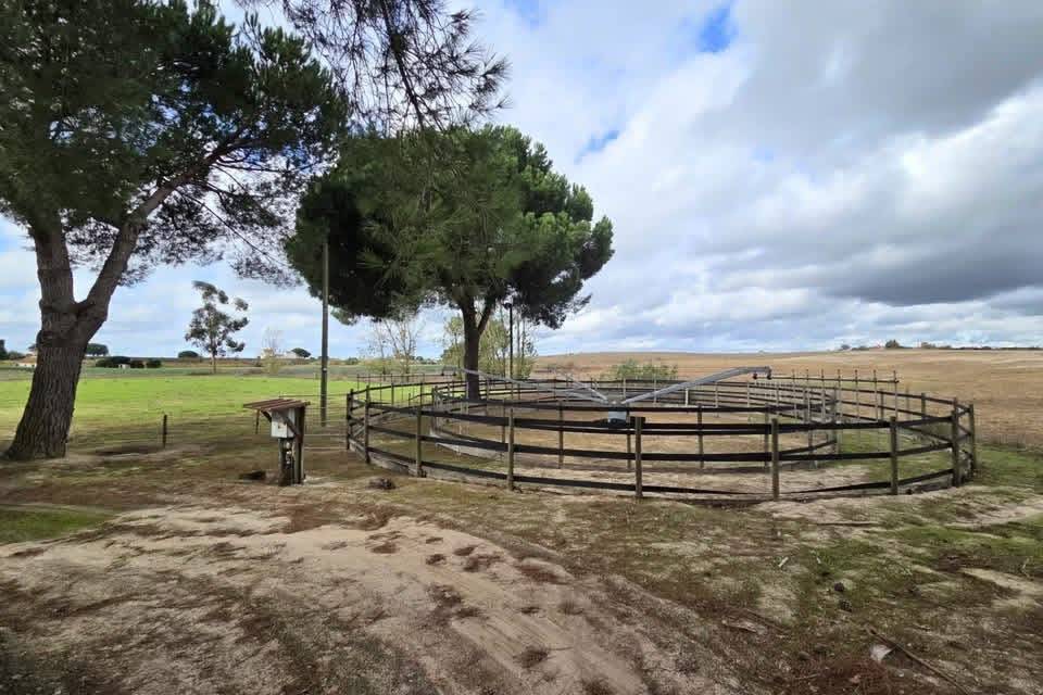 Equestrian property  