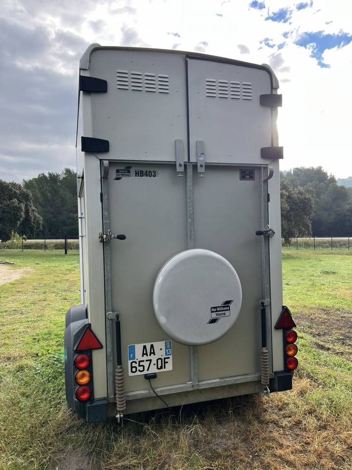Horse trailer Ifor Williams  1,5 Stalls 2009 Used