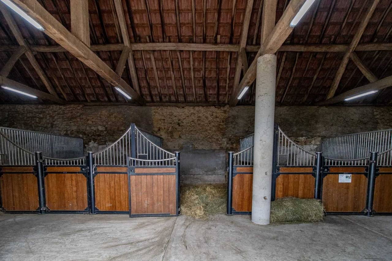 Equestrian property  Nièvre