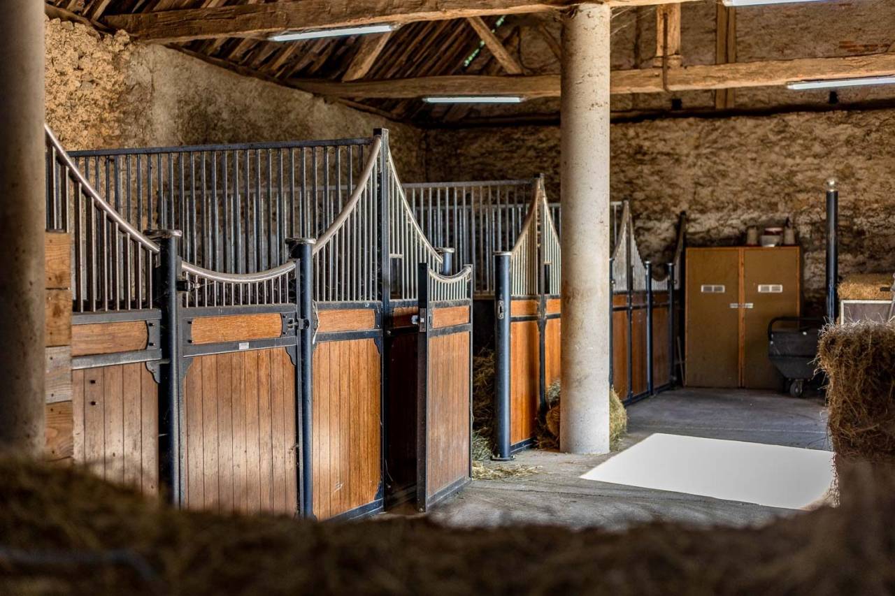 Equestrian property  Nièvre