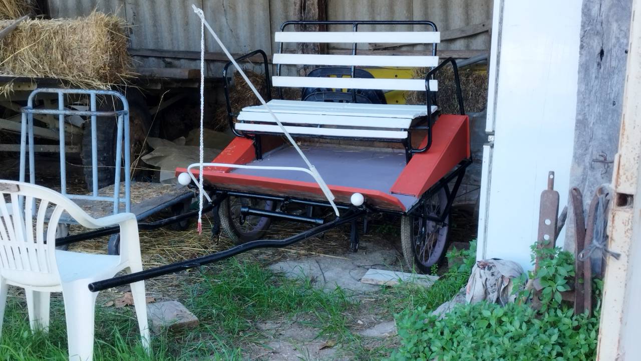 Carriage - Pony sulky - Other brand -  