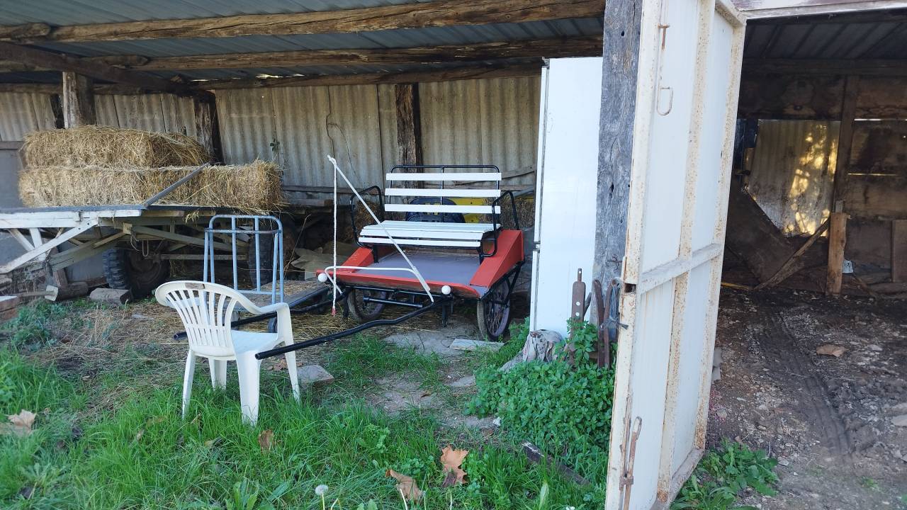 Carriage - Pony sulky - Other brand -  