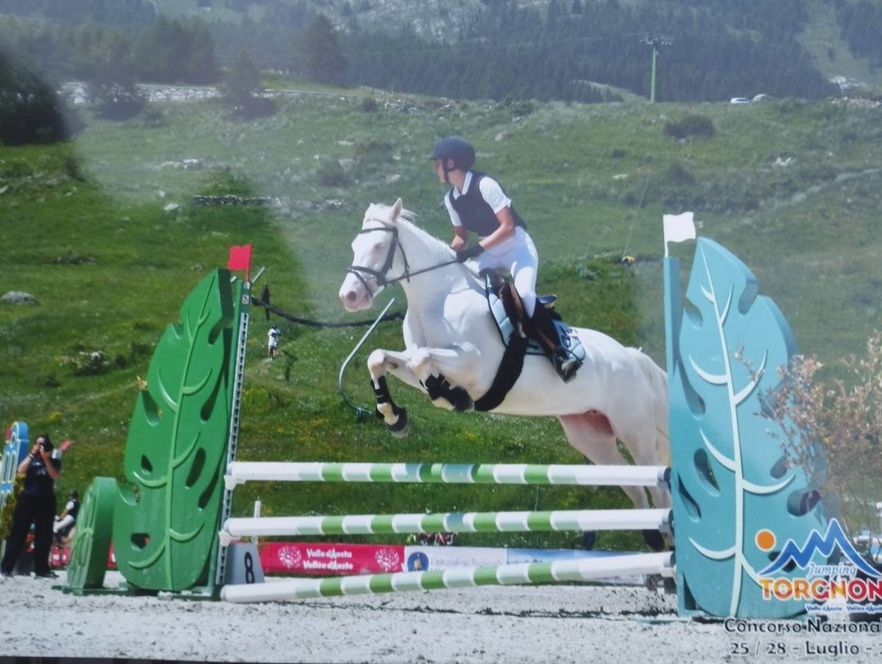 Mare Connemara For sale 2019 Cremello