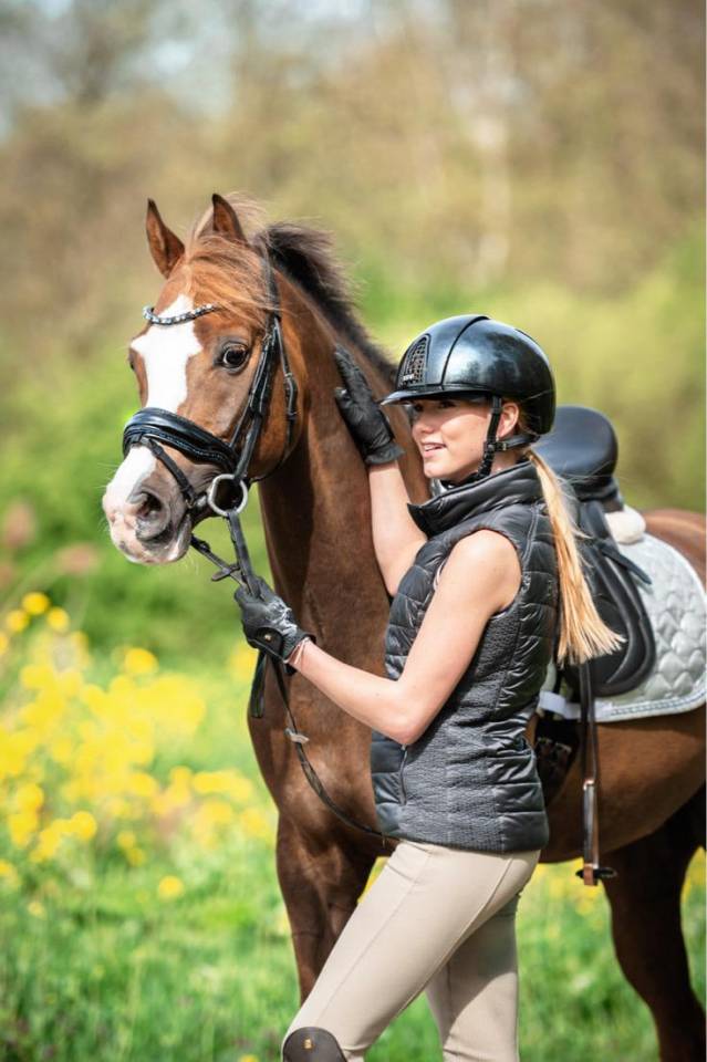 Gelding Welsh Pony (Section D), Welsh Cob For sale 2015 Liver chestnut